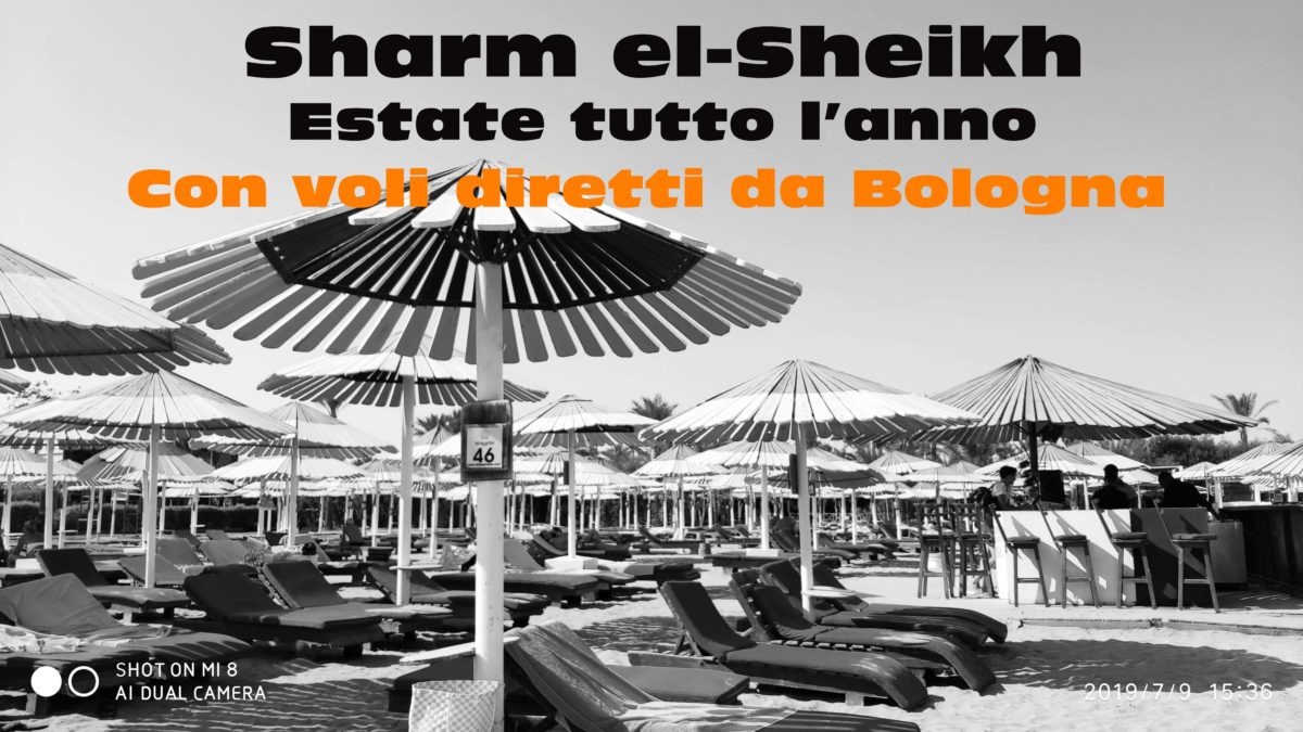 Appartamenti  Sharm el Sheikh Mar Rosso. Naama Bay
